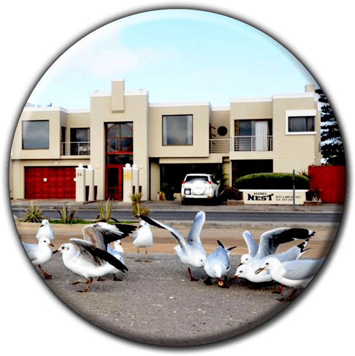 Kleine's Nest Bed & Breakfast - Bed & Breakfast Accommodation in Walvis Bay, Namibia