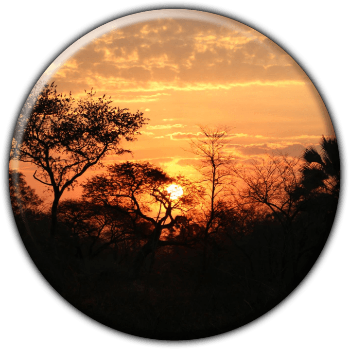 Paradise Luxury Tent Camp - Camping and Caravanning Accommodation in Grootfontein, Namibia