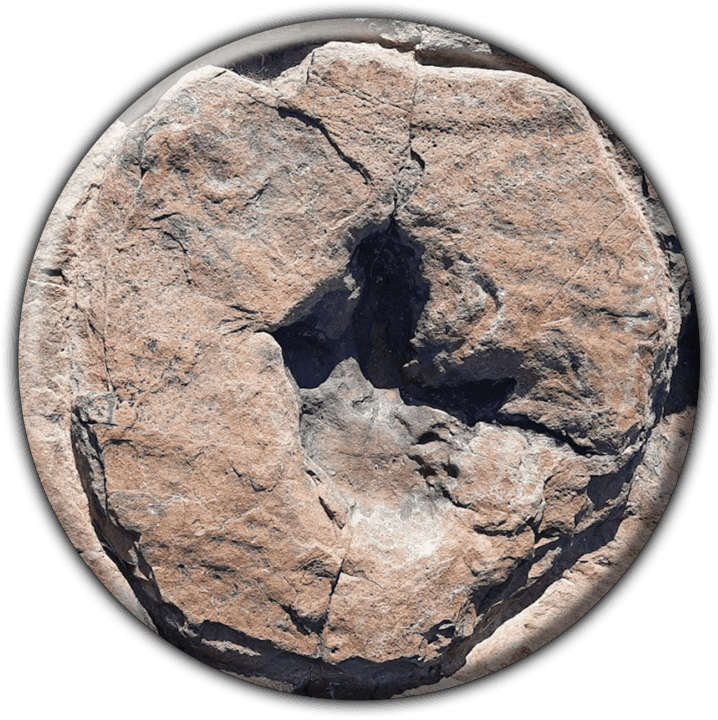 Dinosaur Tracks Guestfarm Farm Otjihaenamaparero - Camping and Caravanning Accommodation in Kalkfeld, Namibia