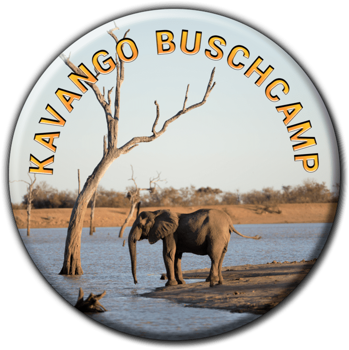 Kavango Buschcamp - Camping and Caravanning Accommodation in Rundu, Namibia
