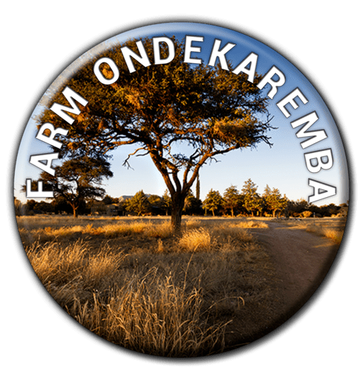 Ondekaremba Campsite - Camping and Caravanning Accommodation in Windhoek, Namibia