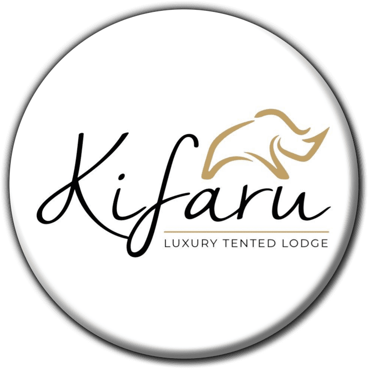 Kifaru Luxury Lodge & Bush Camp - Lodge Accommodation in Etosha, Namibia