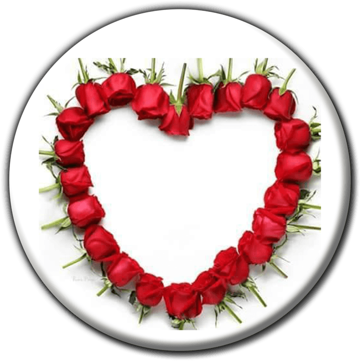 Ilala Flowers & Gifts - Florists (Custom Bouquets, Event D&eacute;cor & Flower Delivery) in Grootfontein, Namibia