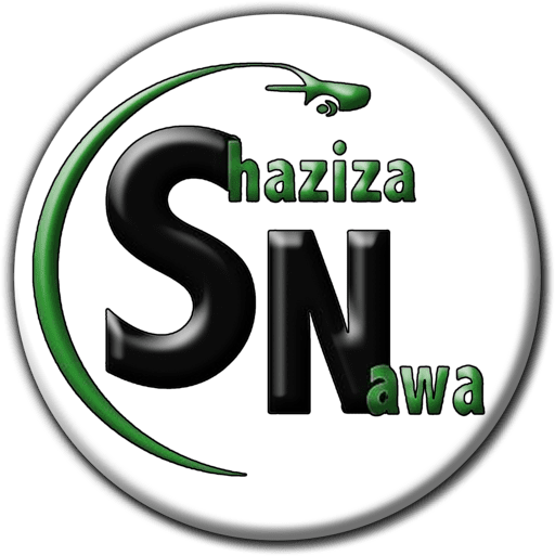 Shaziza Nawa Automotive - Motor Car Parts & Accessories New in Windhoek, Namibia