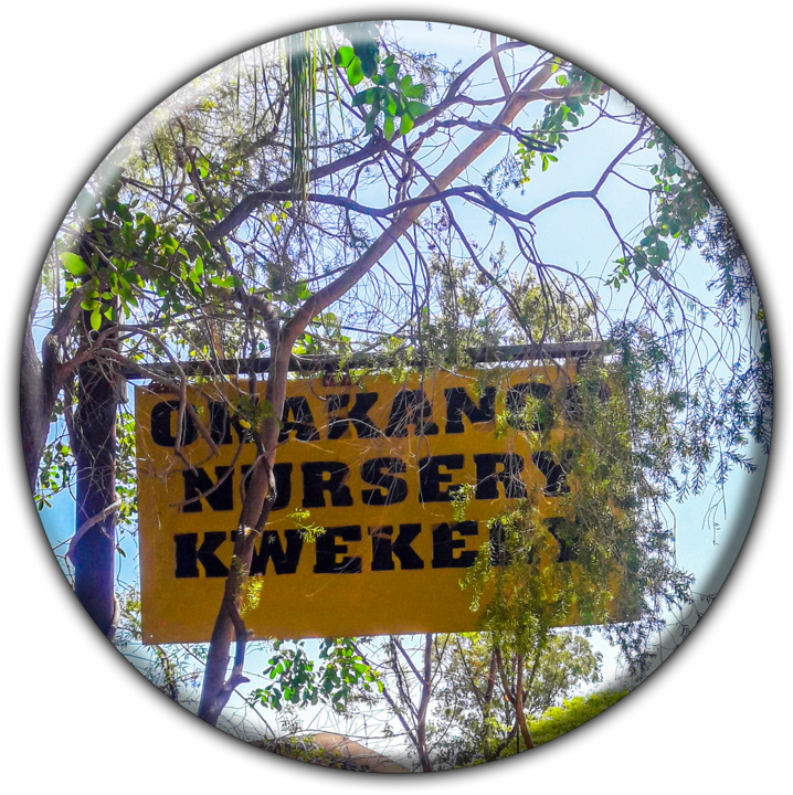 Okakango Garden Centre & Gift Shop - Nurseries in Okahandja, Namibia