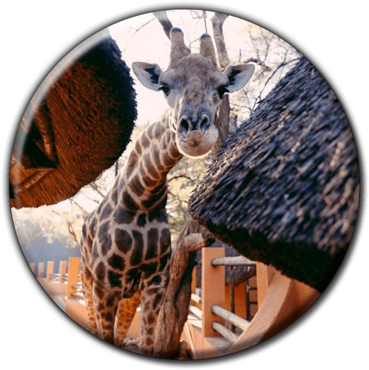 Omaruru Game Lodge - Restaurants in Omaruru, Namibia