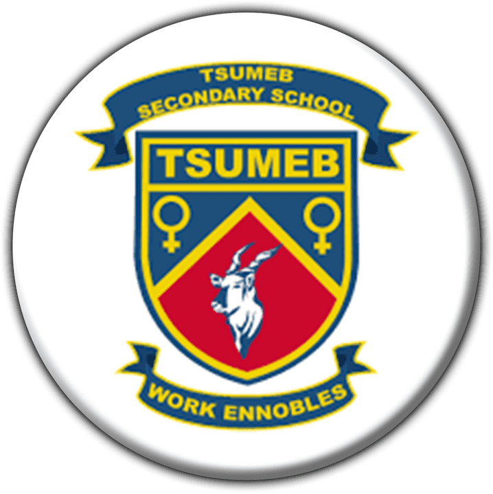 Tsumeb Secondary School - Schools in Tsumeb, Namibia