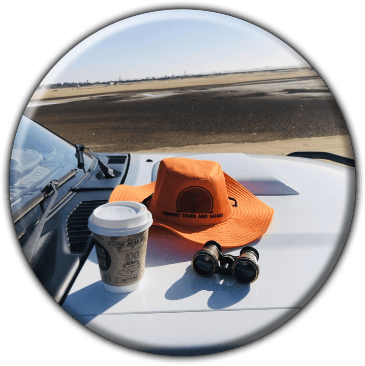 Comfort Tours & Safaris Namibia (Windhoek) - Tours and Safaris Operators in Etosha, Namibia