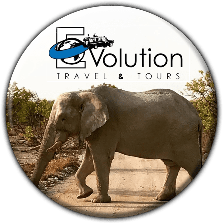 Evolution Travel and Tours (Windhoek) - Tours and Safaris Operators in Etosha, Namibia
