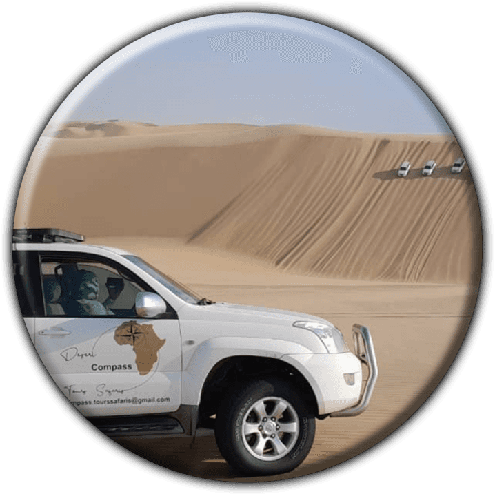 Desert Compass Tours and Safaris (Walvis Bay) - Tours and Safaris Operators in Solitaire, Namibia