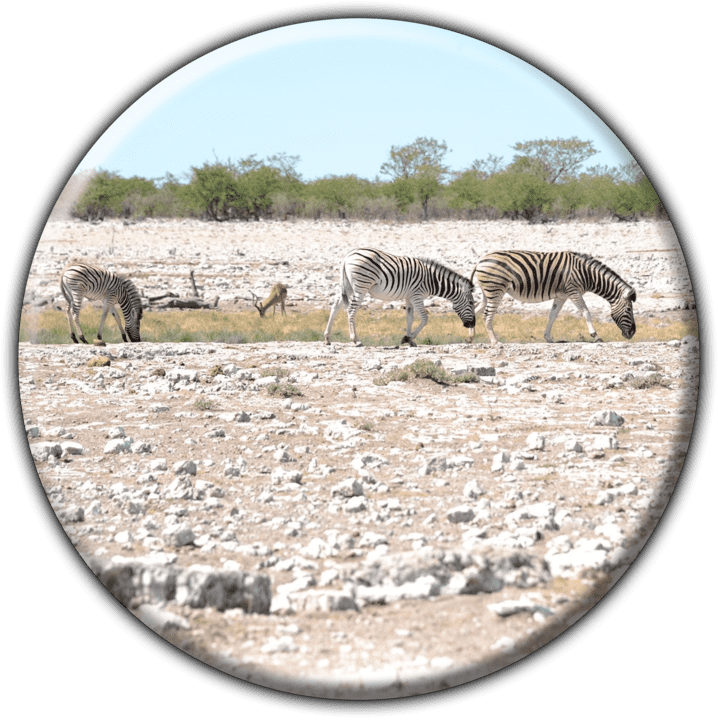 African Blue Sky Tours and Adventures - Tours and Safaris Operators in Windhoek, Namibia