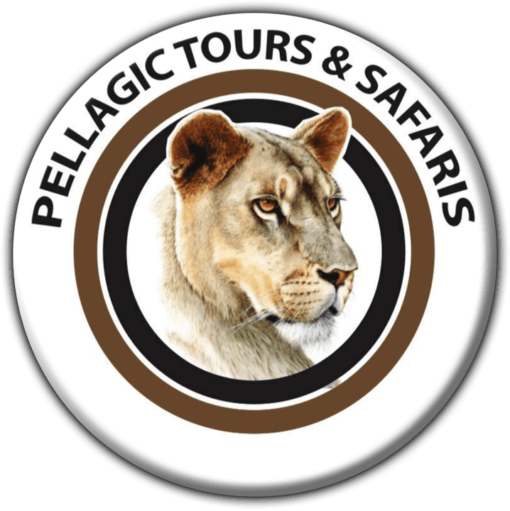 Pellagic Tours and Safaris - Tours and Safaris Operators in Windhoek, Namibia