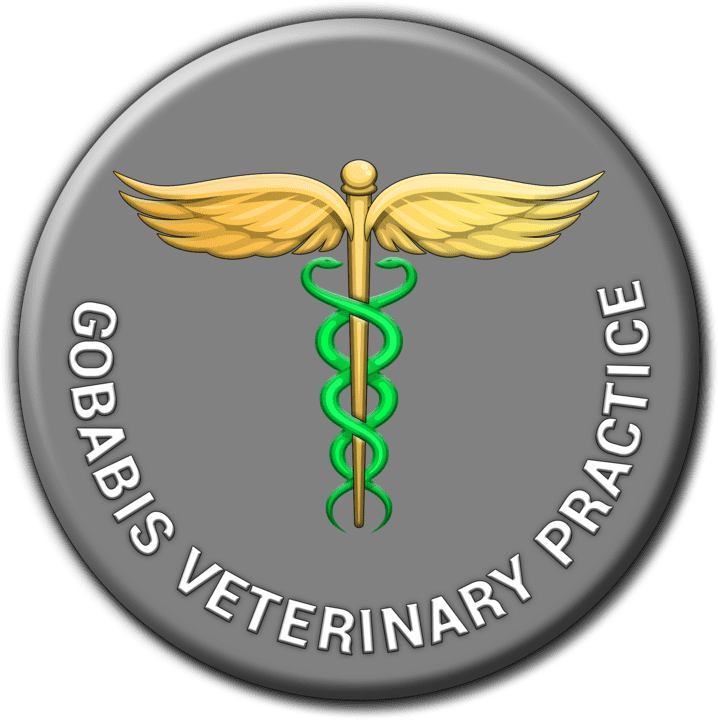 Gobabis Veterinary Practice - Veterinary Hospitals & Clinics (Pets, Livestock & Wildlife) in Gobabis, Namibia