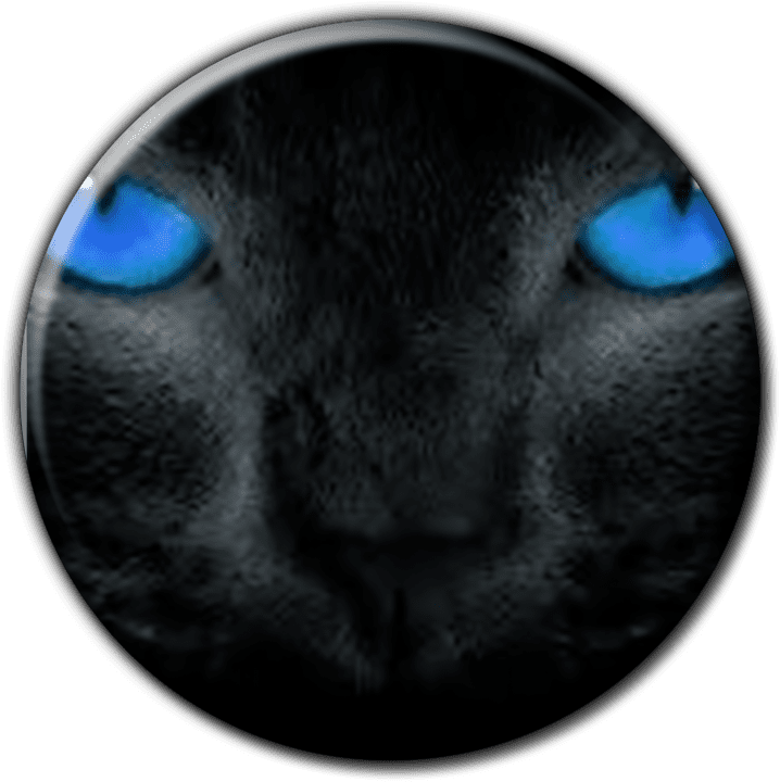 VetsWeb - Veterinary Hospitals & Clinics (Pets, Livestock & Wildlife) in Mariental, Namibia