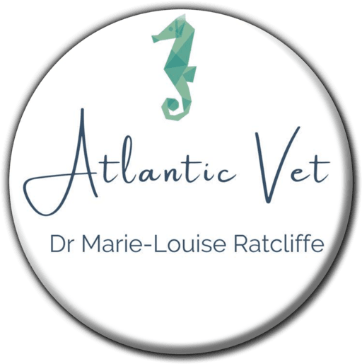 Atlantic Veterinary Practice - Veterinary Hospitals & Clinics (Pets, Livestock & Wildlife) in Walvis Bay, Namibia